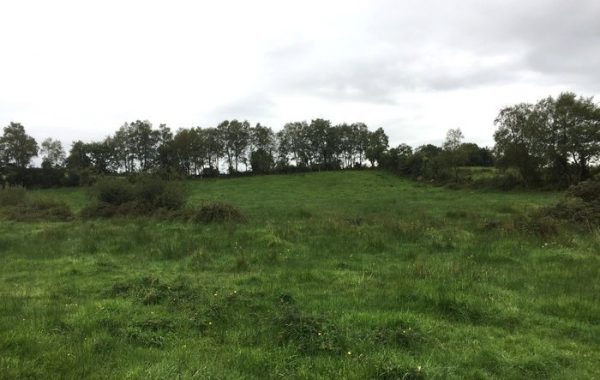 30 acres is in Gurtavrulla Feakle, Co. Clare.